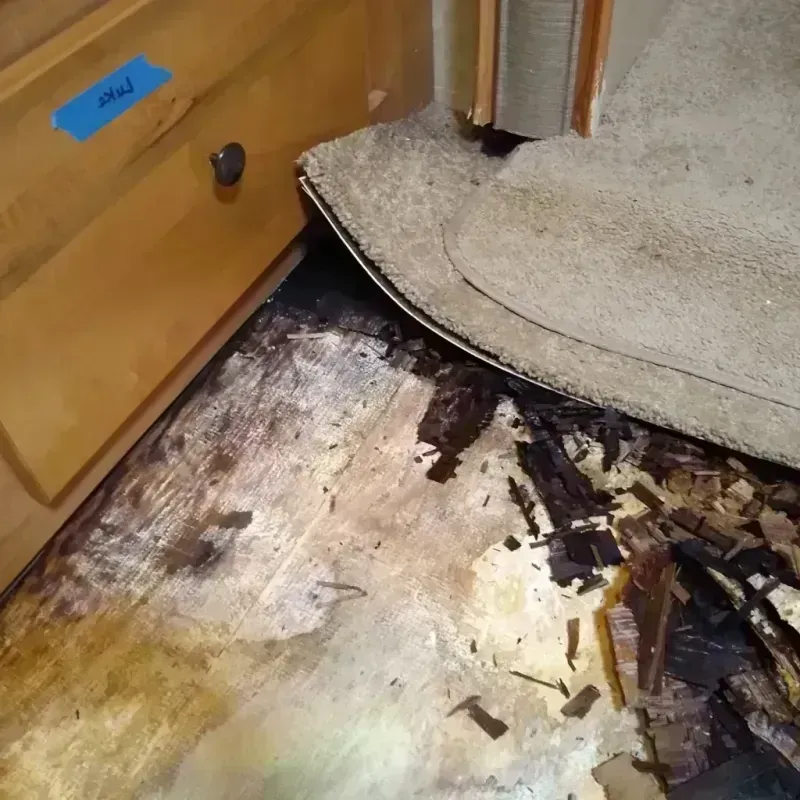 Best Wood Floor Water Damage Service in Fuller Heights, FL